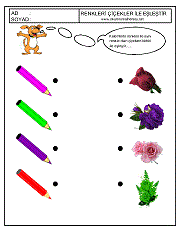 okul öncesi renkler çalışma sayfaları; renkleri eşleştirme çalışmaları
